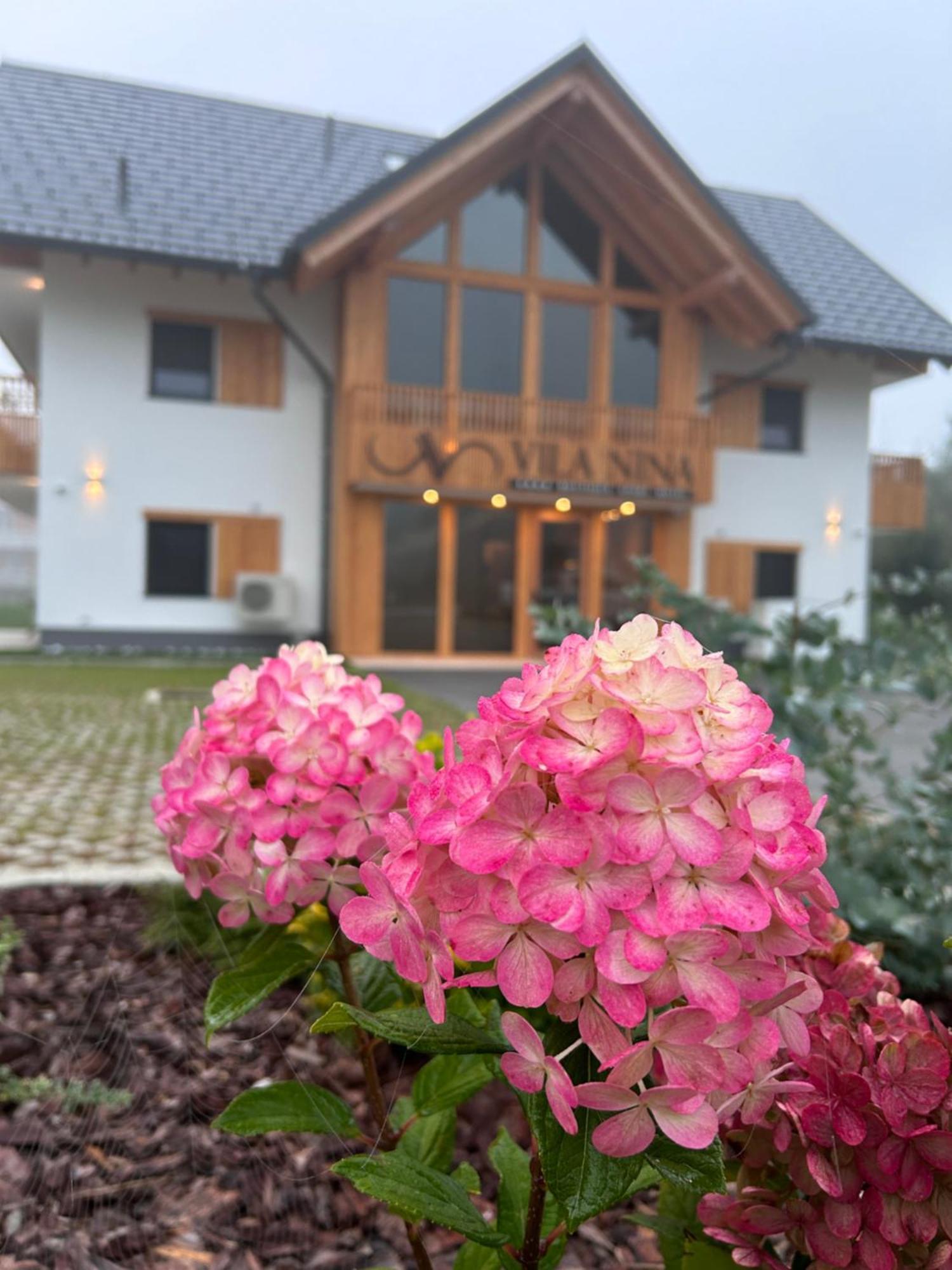 Vila Nina Bohinj Extérieur photo