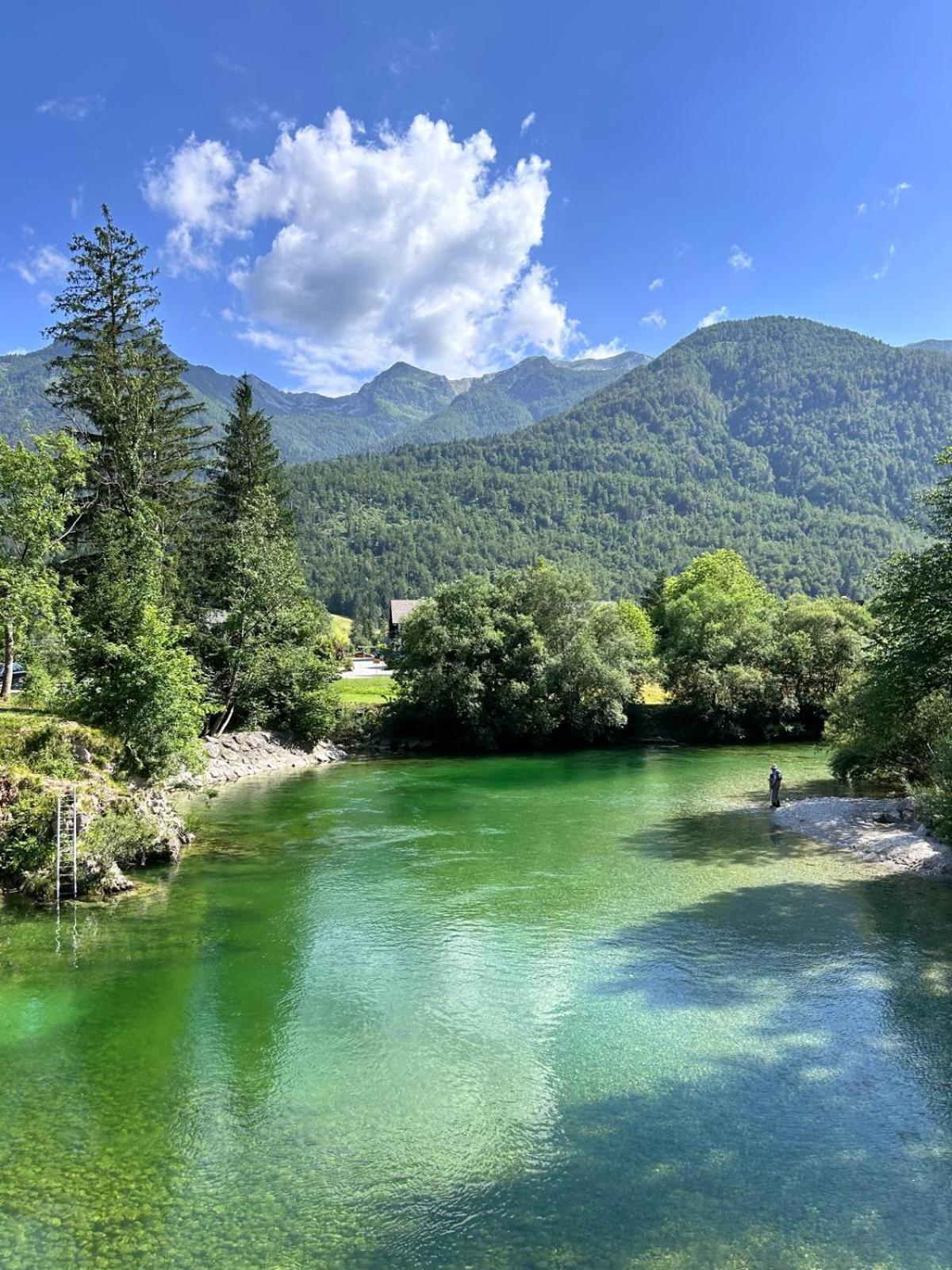 Vila Nina Bohinj Extérieur photo